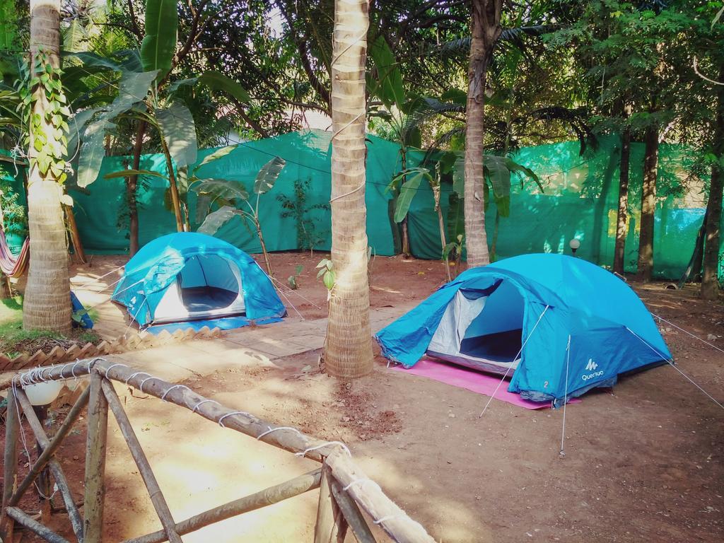 Zostel Goa Hostel Calangute Εξωτερικό φωτογραφία